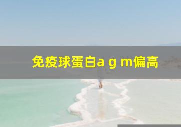 免疫球蛋白a g m偏高